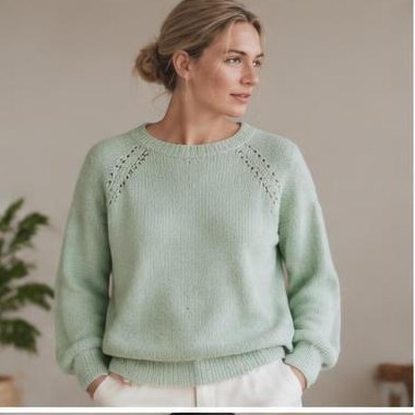 Dis Sti Raglan strikket i DK-garn